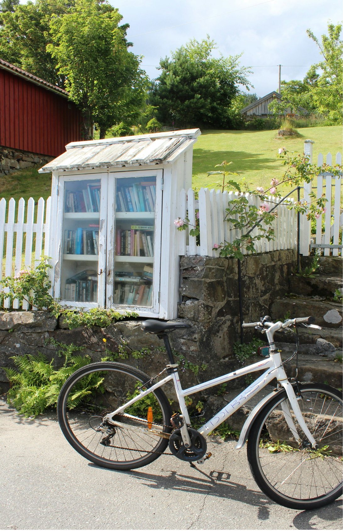 Bicycle and book exchange